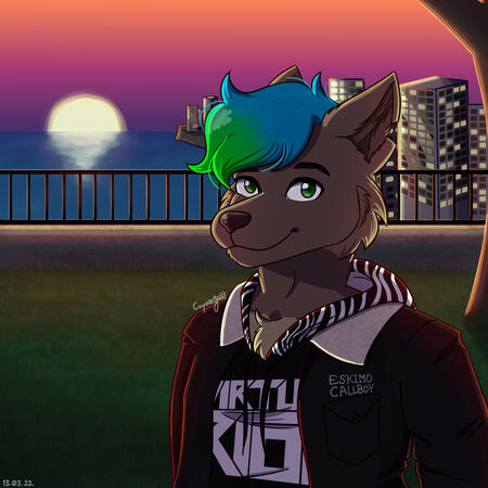 Fully shaded with scene