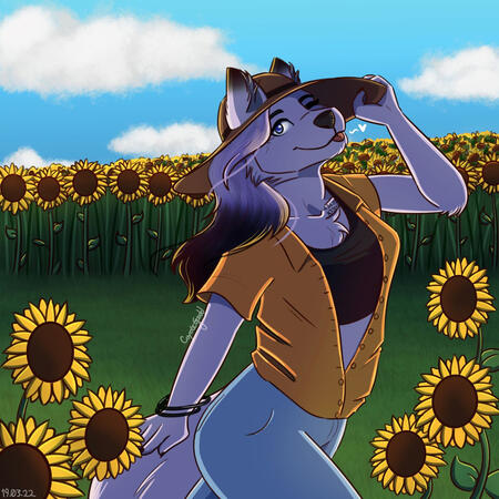 Fully shaded with scene